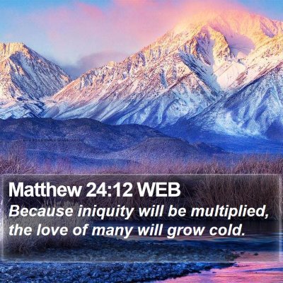 Matthew 24:12 WEB Bible Verse Image