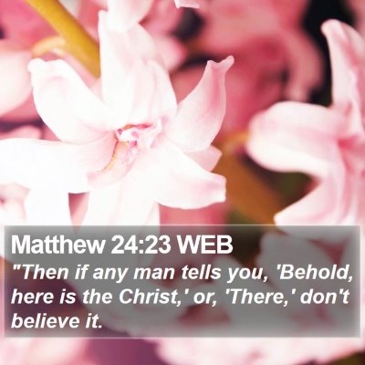 Matthew 24:23 WEB Bible Verse Image