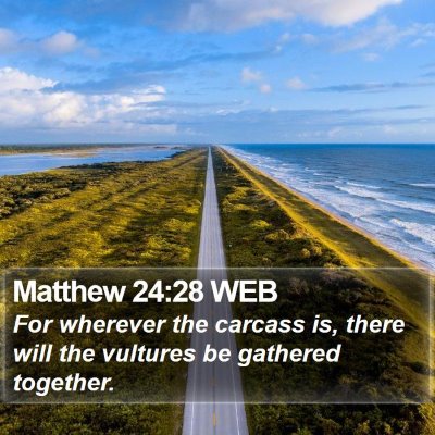 Matthew 24:28 WEB Bible Verse Image