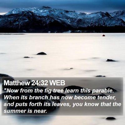 Matthew 24:32 WEB Bible Verse Image