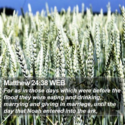 Matthew 24:38 WEB Bible Verse Image