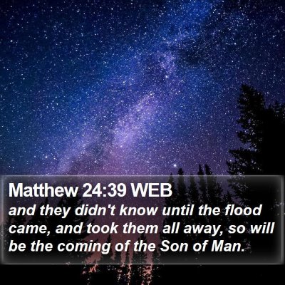 Matthew 24:39 WEB Bible Verse Image