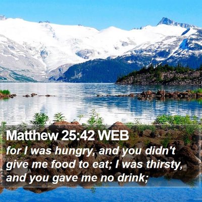 Matthew 25:42 WEB Bible Verse Image