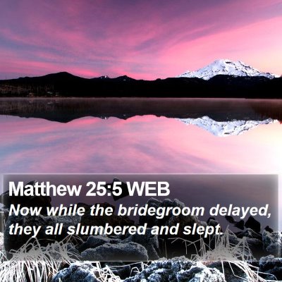 Matthew 25:5 WEB Bible Verse Image