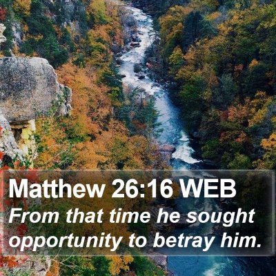 Matthew 26:16 WEB Bible Verse Image