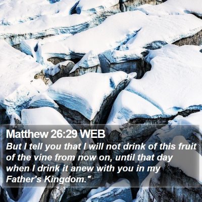 Matthew 26:29 WEB Bible Verse Image
