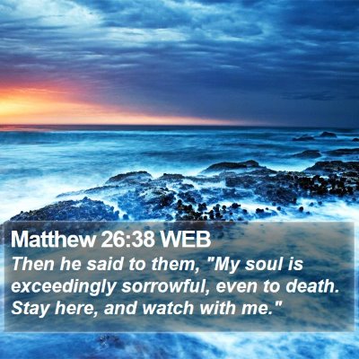 Matthew 26:38 WEB Bible Verse Image