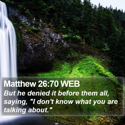 Matthew 26:70 WEB Bible Verse Image