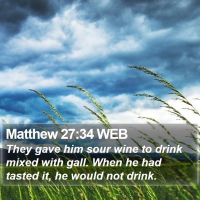 Matthew 27:34 WEB Bible Verse Image