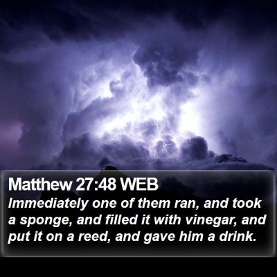 Matthew 27:48 WEB Bible Verse Image