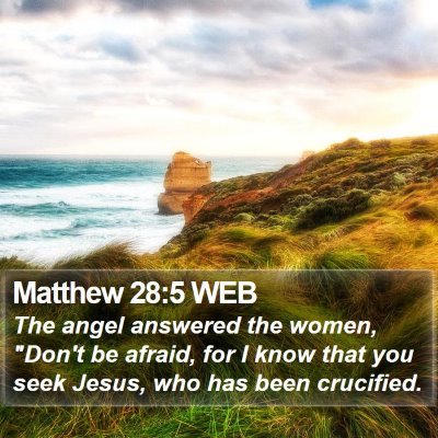 Matthew 28:5 WEB Bible Verse Image