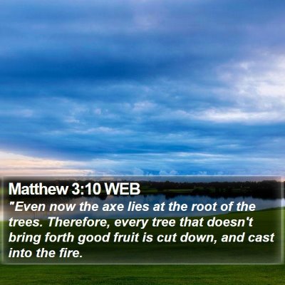 Matthew 3:10 WEB Bible Verse Image