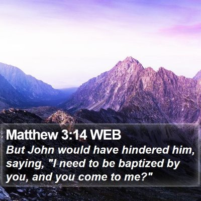Matthew 3:14 WEB Bible Verse Image