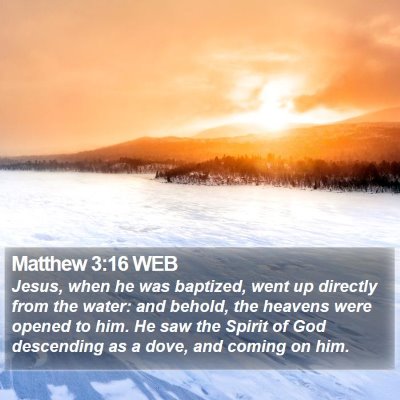 Matthew 3:16 WEB Bible Verse Image