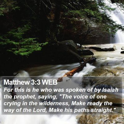 Matthew 3:3 WEB Bible Verse Image
