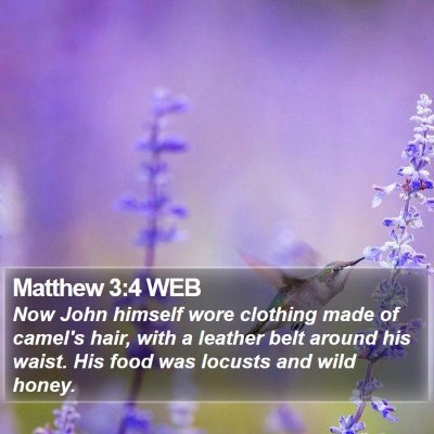 Matthew 3:4 WEB Bible Verse Image