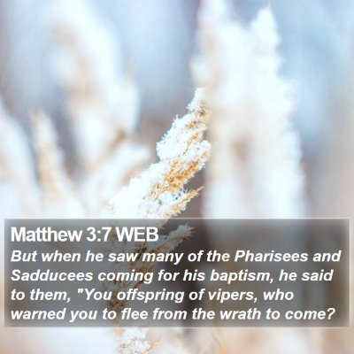 Matthew 3:7 WEB Bible Verse Image