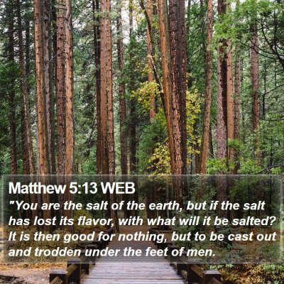 Matthew 5:13 WEB Bible Verse Image