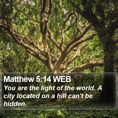Matthew 5:14 WEB Bible Verse Image