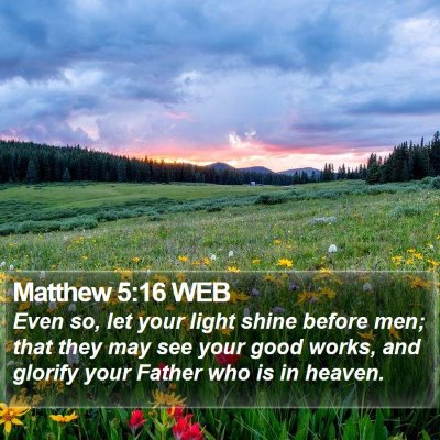 Matthew 5:16 WEB Bible Verse Image
