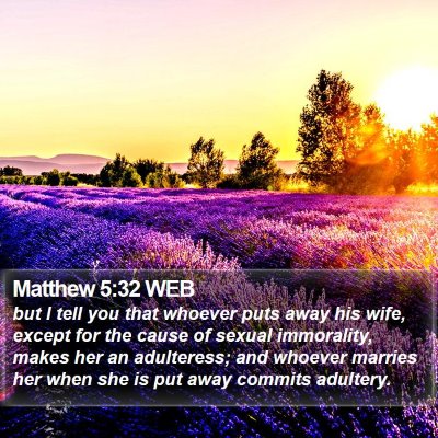 Matthew 5:32 WEB Bible Verse Image