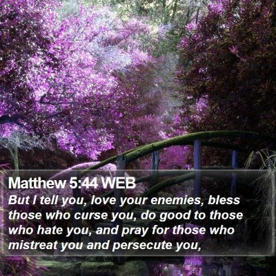 Matthew 5:44 WEB Bible Verse Image