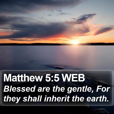 Matthew 5:5 WEB Bible Verse Image