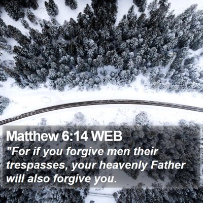 Matthew 6:14 WEB Bible Verse Image