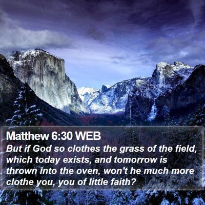 Matthew 6:30 WEB Bible Verse Image