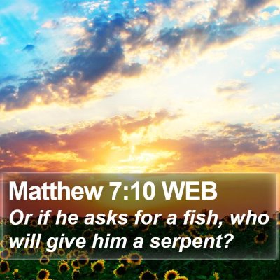 Matthew 7:10 WEB Bible Verse Image
