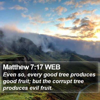 Matthew 7:17 WEB Bible Verse Image