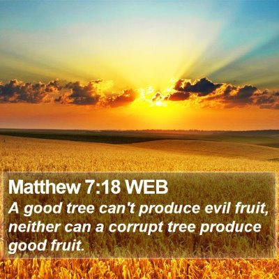 Matthew 7:18 WEB Bible Verse Image
