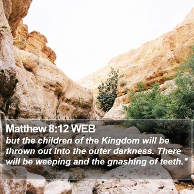 Matthew 8:12 WEB Bible Verse Image