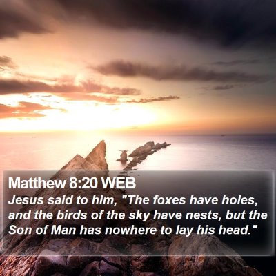 Matthew 8:20 WEB Bible Verse Image