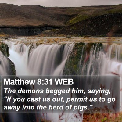 Matthew 8:31 WEB Bible Verse Image