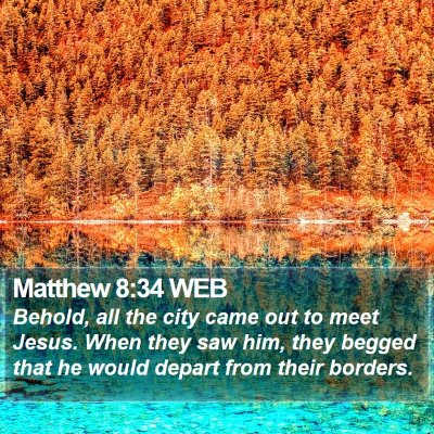Matthew 8:34 WEB Bible Verse Image