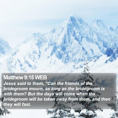 Matthew 9:15 WEB Bible Verse Image