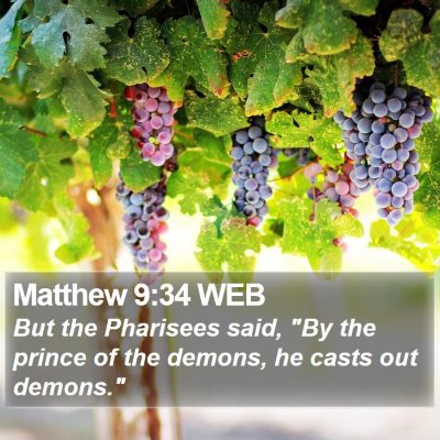 Matthew 9:34 WEB Bible Verse Image
