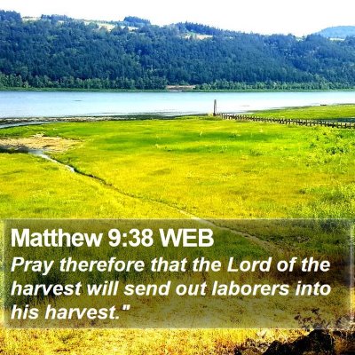 Matthew 9:38 WEB Bible Verse Image