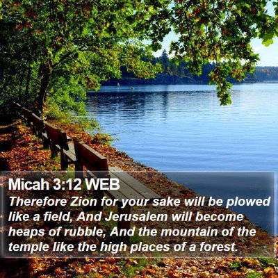 Micah 3:12 WEB Bible Verse Image