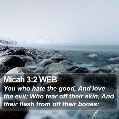 Micah 3:2 WEB Bible Verse Image
