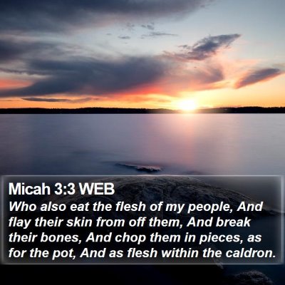 Micah 3:3 WEB Bible Verse Image