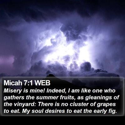 Micah 7:1 WEB Bible Verse Image