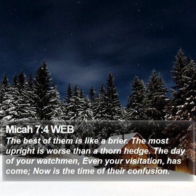 Micah 7:4 WEB Bible Verse Image