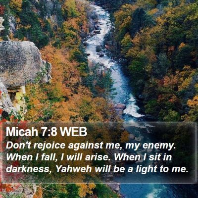Micah 7:8 WEB Bible Verse Image
