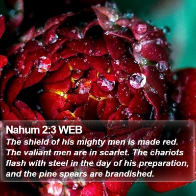 Nahum 2:3 WEB Bible Verse Image