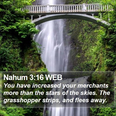 Nahum 3:16 WEB Bible Verse Image