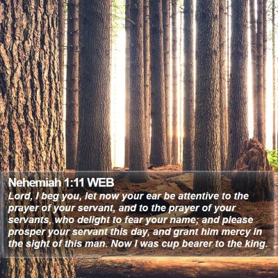 Nehemiah 1:11 WEB Bible Verse Image