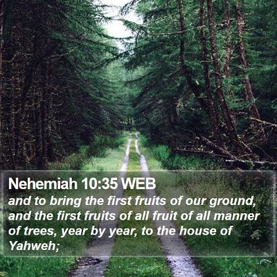 Nehemiah 10:35 WEB Bible Verse Image