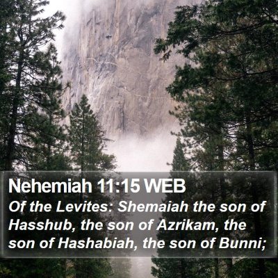 Nehemiah 11:15 WEB Bible Verse Image